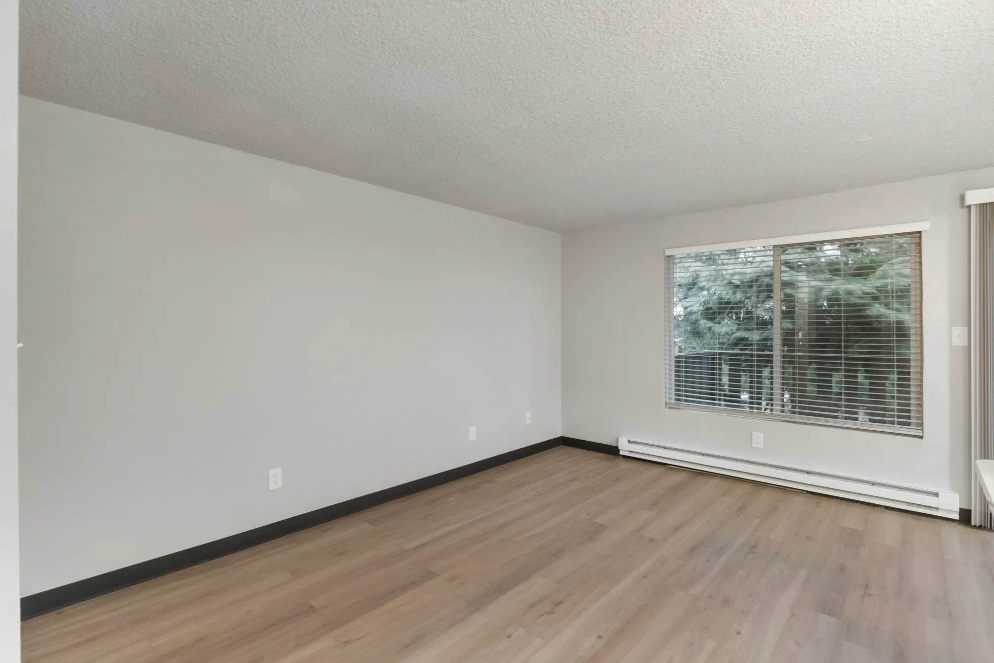 Bayswater Gallery Fully Renovated