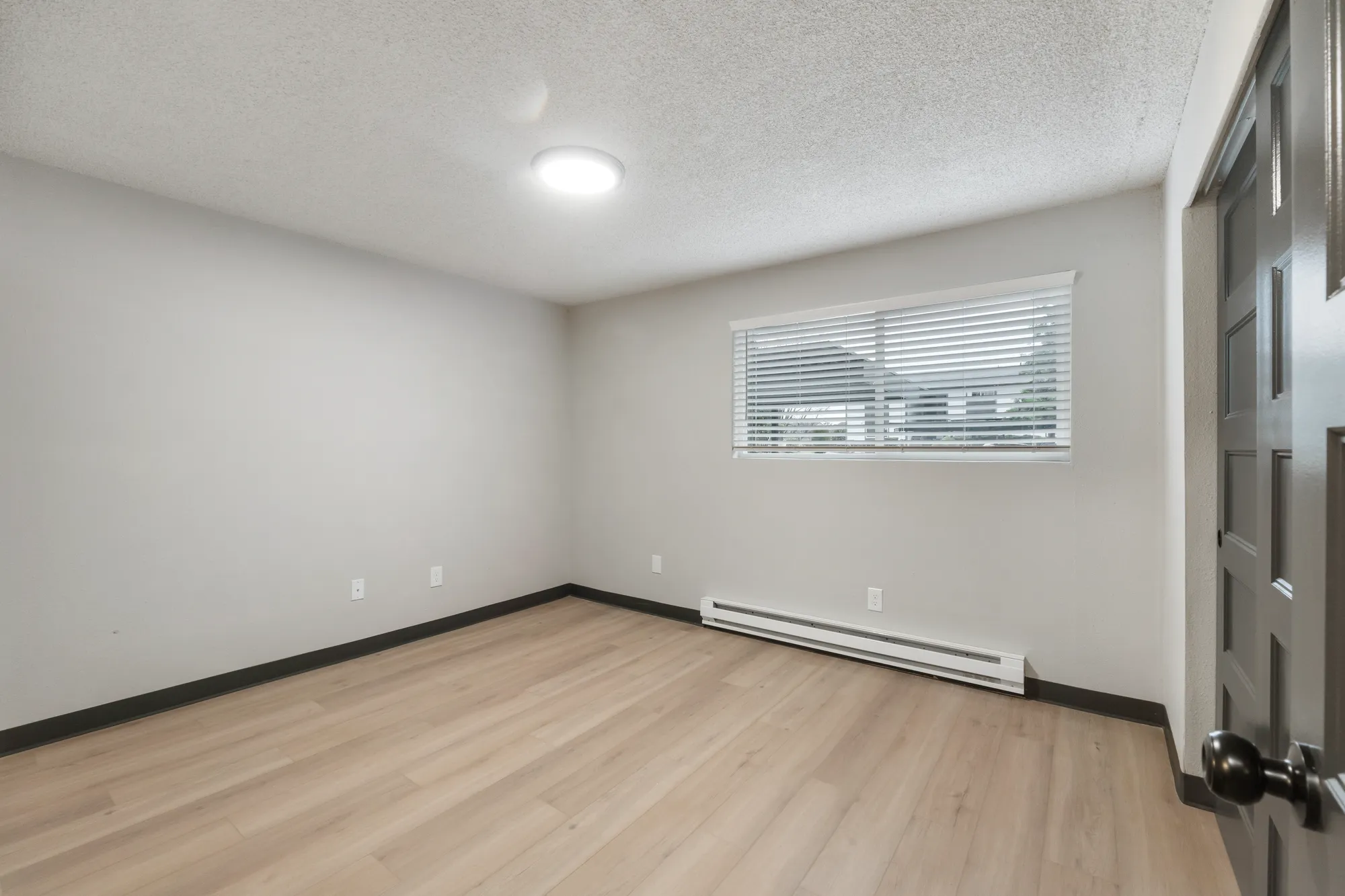 Bayswater Gallery Fully Renovated