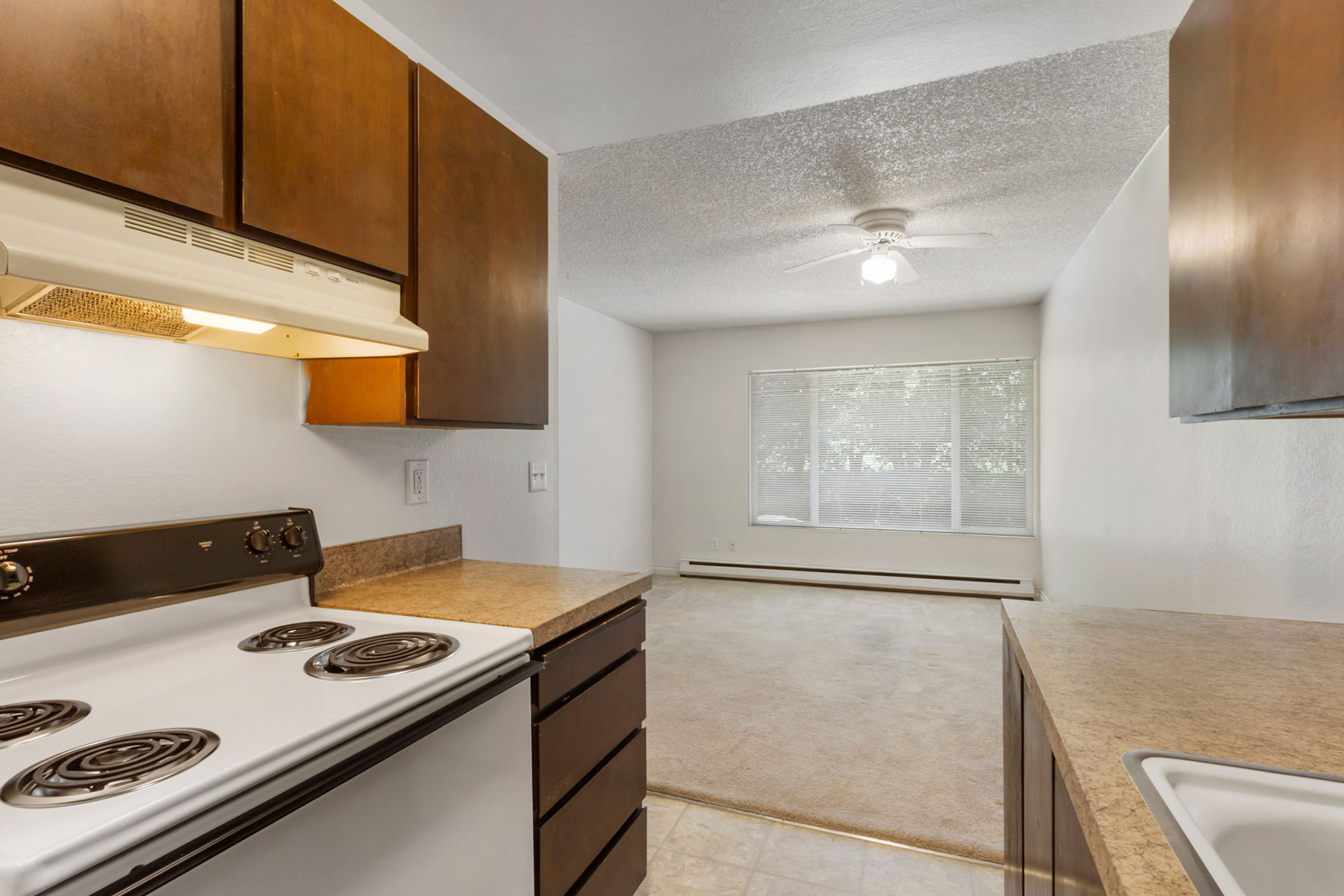 Tanara 1-Bedroom Main Photo